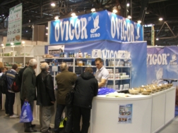 Targi ExpoGołębie 2014