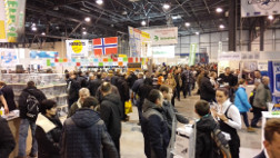 Targi ExpoGołębie 2016