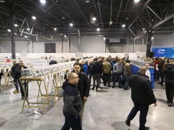 Targi ExpoGołębie 2019