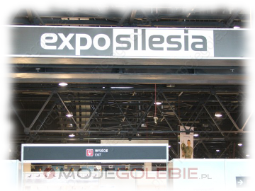 Expo Gołębie 2011